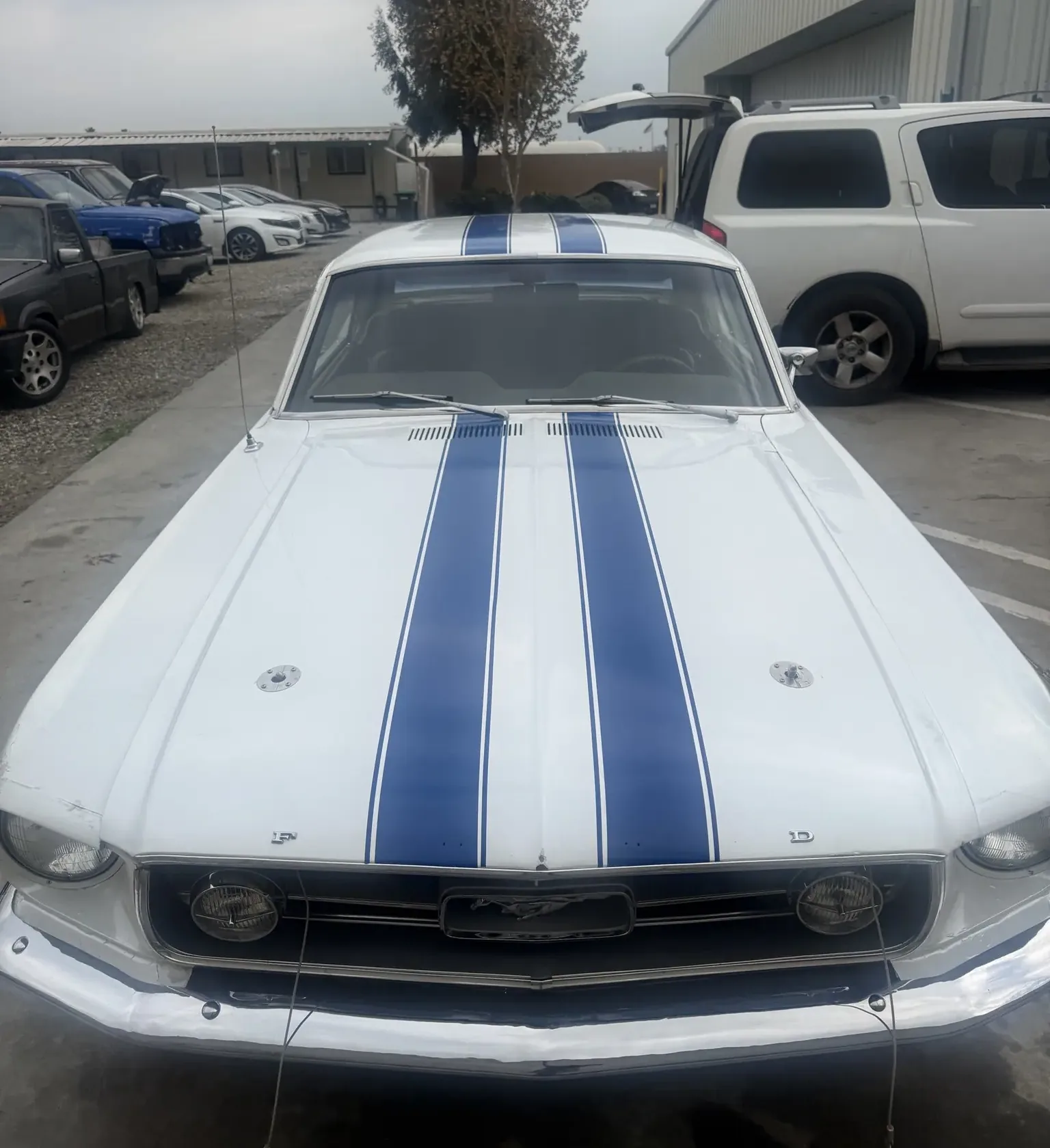 The finished Mustang, Oxford White with blue stripes, February 2026