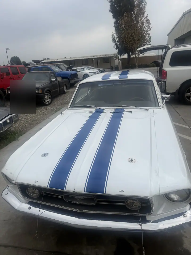 1967 Mustang with new twin blue racing stripes on the hood