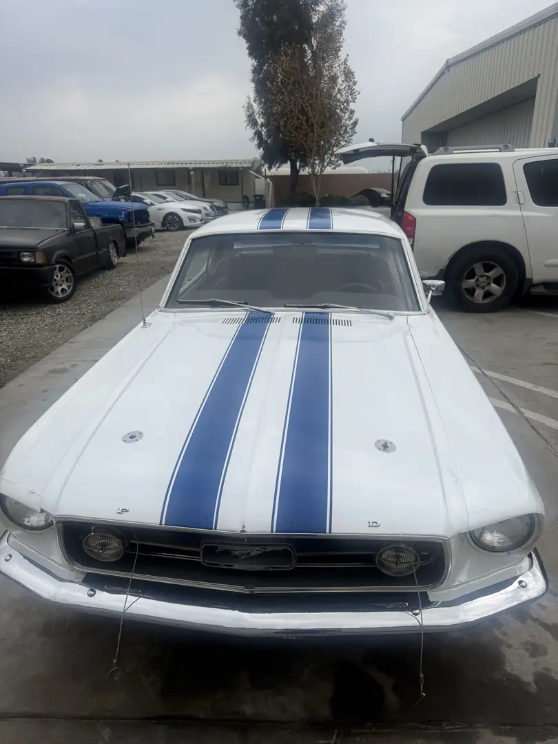 Finished Oxford White 1967 Mustang with twin blue stripes, front view